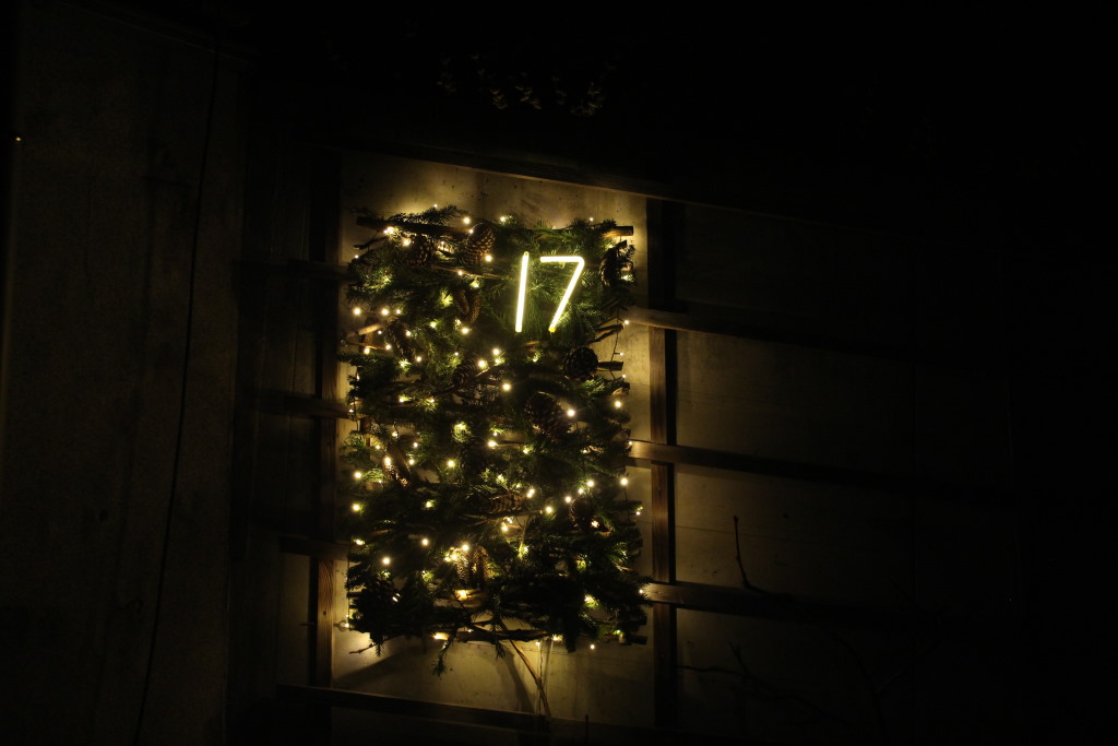 ../Images/017.JPG