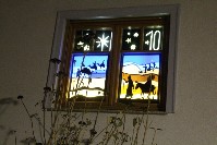 Thumbs/tn_010.jpg