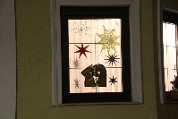 Thumbs/tn_019.jpg