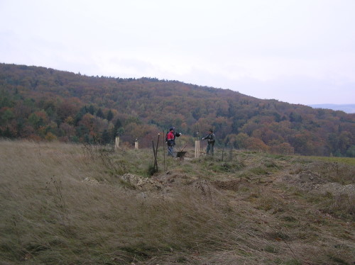 Foto1