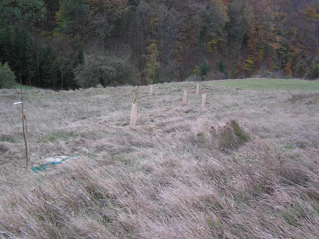 Foto3