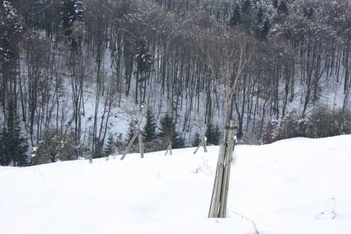 Foto6