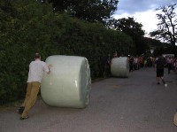 Thumbs/tn_df_2007_32.jpg