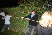Thumbs/tn_df201011.jpg