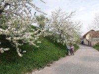 Thumbs/tn_foto06.jpg