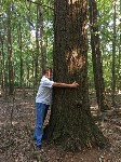 Thumbs/tn_IMG_4656.jpg