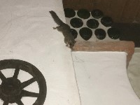 Thumbs/tn_IMG_4666.jpg