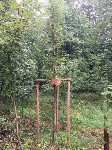 Thumbs/tn_IMG_4727.jpg