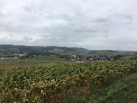 Thumbs/tn_IMG_4738.jpg