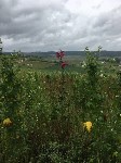 Thumbs/tn_IMG_4739.jpg