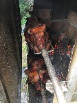 Thumbs/tn_IMG_4748.jpg