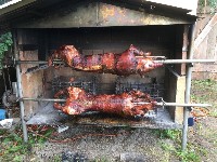 Thumbs/tn_IMG_4753.jpg